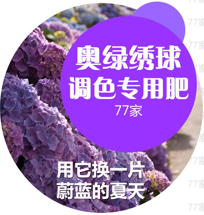 奥绿缓控硫酸铝 blue-max 爱贝施绣球调色肥  进口调色肥不伤苗