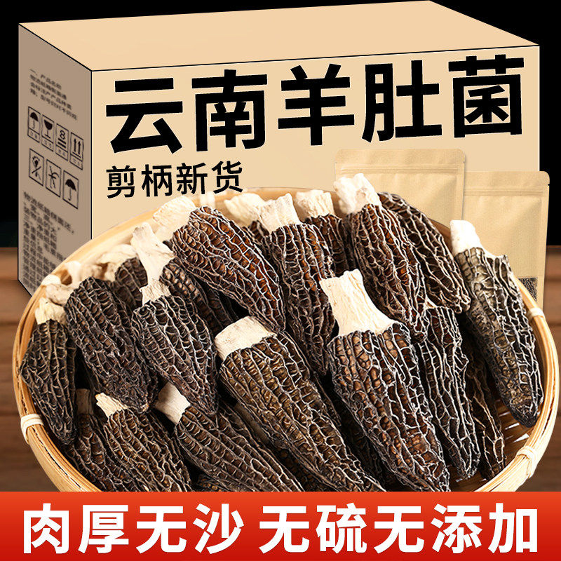 羊肚菌干货新鲜新货特产牛肚菌菇香菇干货非野生农家菌菇煲汤食材