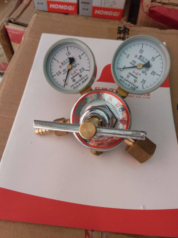 红旗仪表厂家直销各种二氧化碳