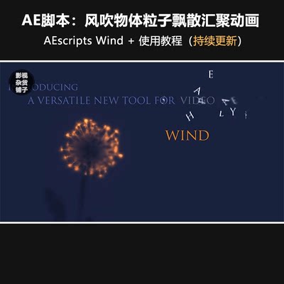 AE脚本：风吹物体粒子飘散汇聚动画 AEscripts Wind + 使用教程