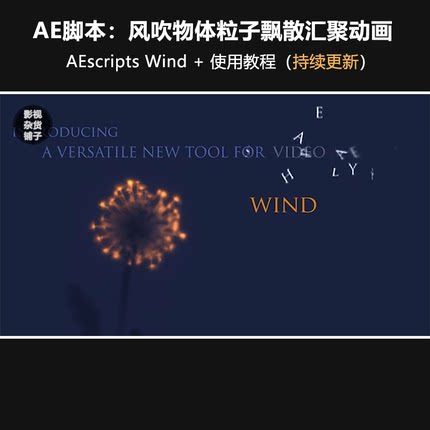 AE脚本：风吹物体粒子飘散汇聚动画 AEscripts Wind + 使用教程
