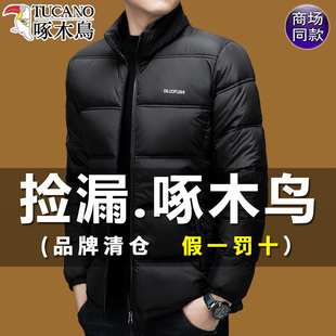 加厚棉服立领棉袄外套冬装 新款 保暖棉衣男 冬季 啄木鸟羽绒棉服男士