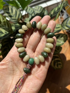 加纳利海枣果实圆矮胖椰枣核种子原籽青稞背云绿化带文玩DIY手串