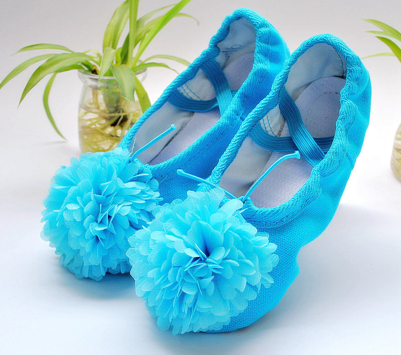 桃李杯【我和月亮说句话】立体花舞蹈鞋天蓝色/芭蕾舞鞋/猫爪鞋/