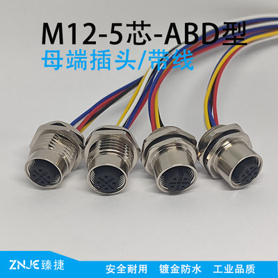 M12连接器5芯航空插头 ABD型 母端插座 带线XH2.54mm 20cm