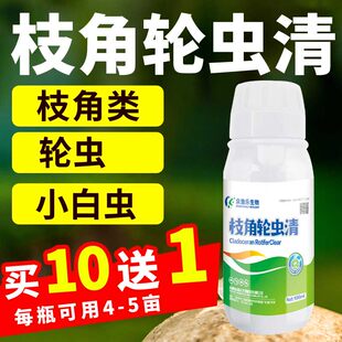 枝角轮虫清蟹塘吃草虫净杀摇蚊幼虫线虫红虫小白虫水浑浊水产养殖