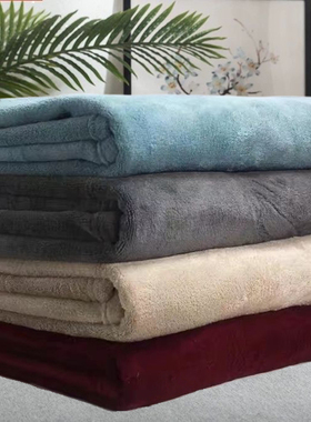 特价清仓处理加厚法兰绒毛毯床单双面绒铺盖宿舍学生四季毯纯色