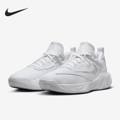 Nike/耐克官方正品2024新款男士系带低帮篮球运动鞋DZ7534-102