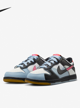 Nike/耐克正品春季新款GS女子大童复古低帮板鞋FJ2687-100