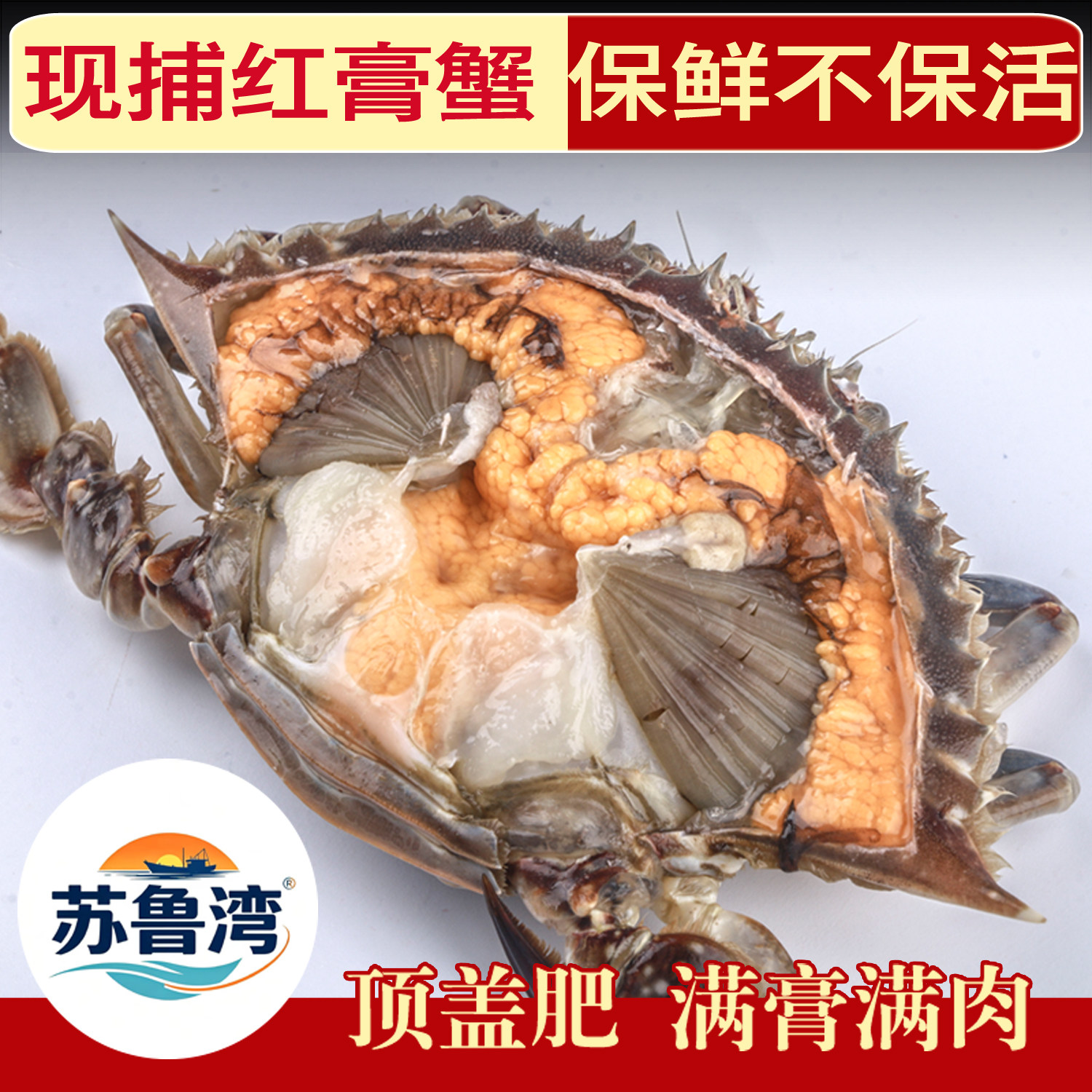 [保鲜不保活]连云港梭子蟹红膏特大母蟹新鲜到家螃蟹梭子蟹批发