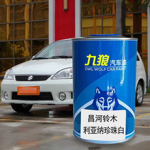 九狼白色摩卡棕汽车漆