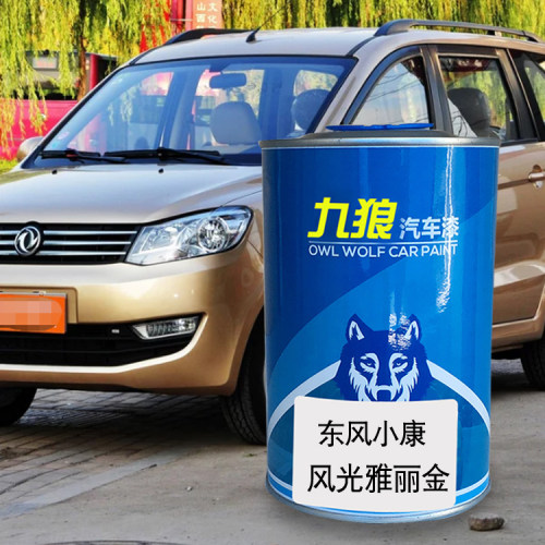 九狼汽车漆东成品风改小色康V27漆雅丽金小康黑小康绿风水晶银光