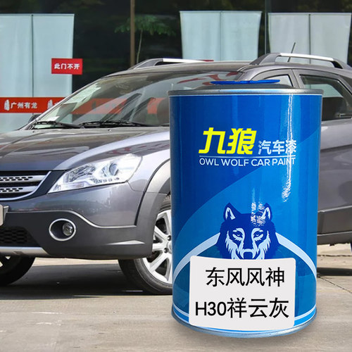 九狼汽车漆东成品风改风色车神H30漆EX1祥云灰珍珠白晨风蓝汉玉白