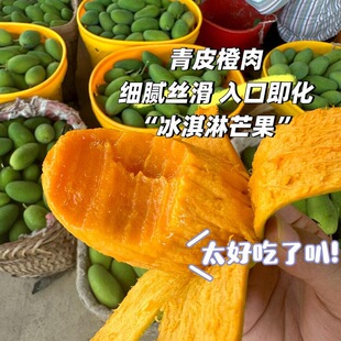 四川攀枝花正宗椰香芒果新鲜现摘现发绿皮精品椰香小芒果鸡蛋芒果