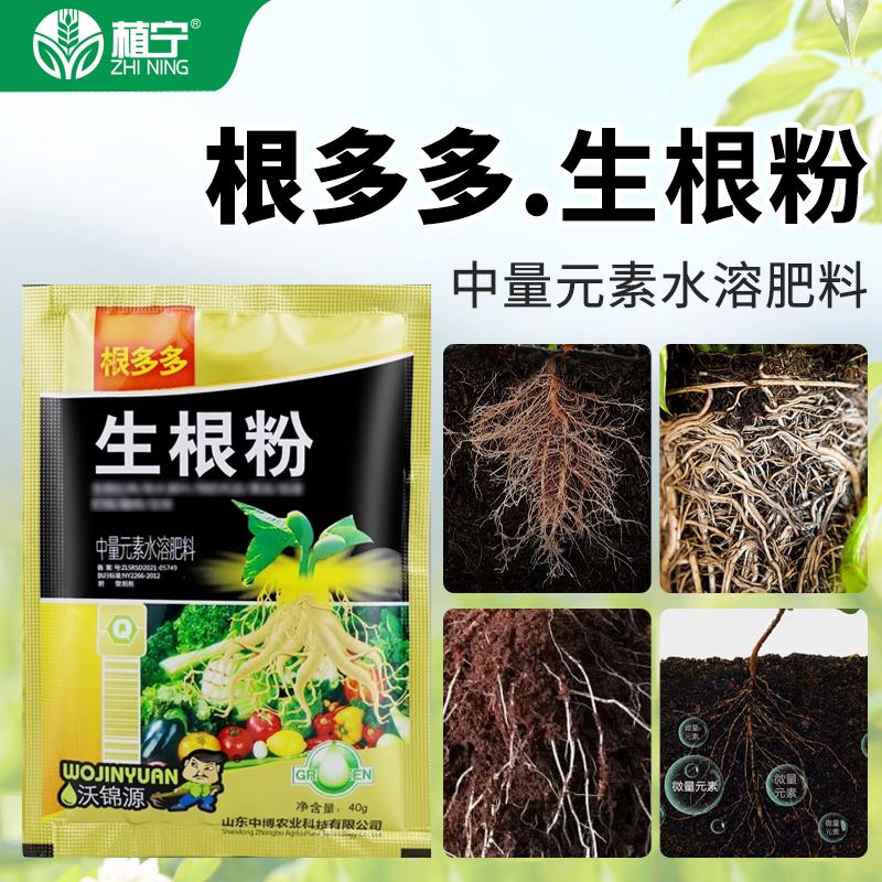 强力生根壮苗剂生根粉扦插移栽植物通用花卉营养液叶面肥快速发