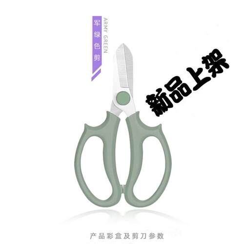 插花园艺剪刀宽头花剪鲜花花道树枝家用修枝修花工具花艺剪
