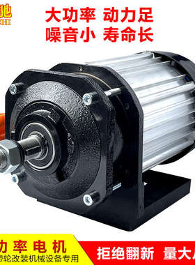 三轮车电机60V1500W油改电皮带轮减速中置无刷电机48V3000W控制器
