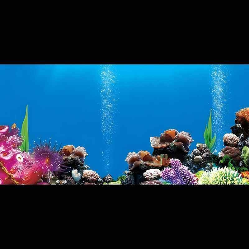 鱼缸背景贴纸风生水起造景个性立体高清水族装饰防水壁纸静电粘贴,宠物/宠物食品及用品,底柜/落地缸,淘宝优惠券,粉丝福利购,淘宝优惠卷