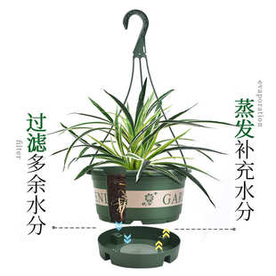 深邦吊盆花盆悬挂式猪笼草塑料加厚加仑吊篮吊兰垂吊绿萝常春藤