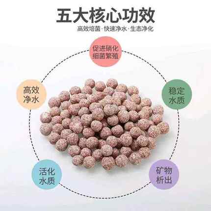 中空石英球纳米培菌球鱼缸滤材过滤材料硝化细菌屋陶瓷环远红外球