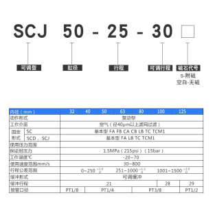 50S可调标准气 150 星辰SCJ32 200 100 250