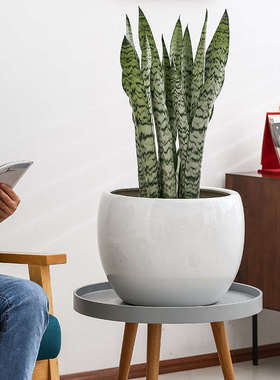 白色陶瓷花盆球盆桌面客厅落地特大号家用盆栽种树龟背竹发财树