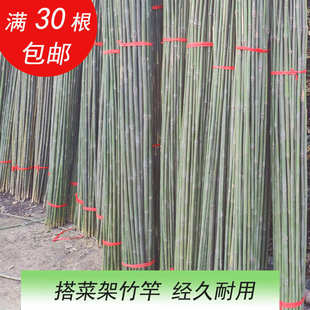 竹子子一米2米细竹竿菜园搭架户外竹杆篱笆彩旗杆豆角竿子架杆