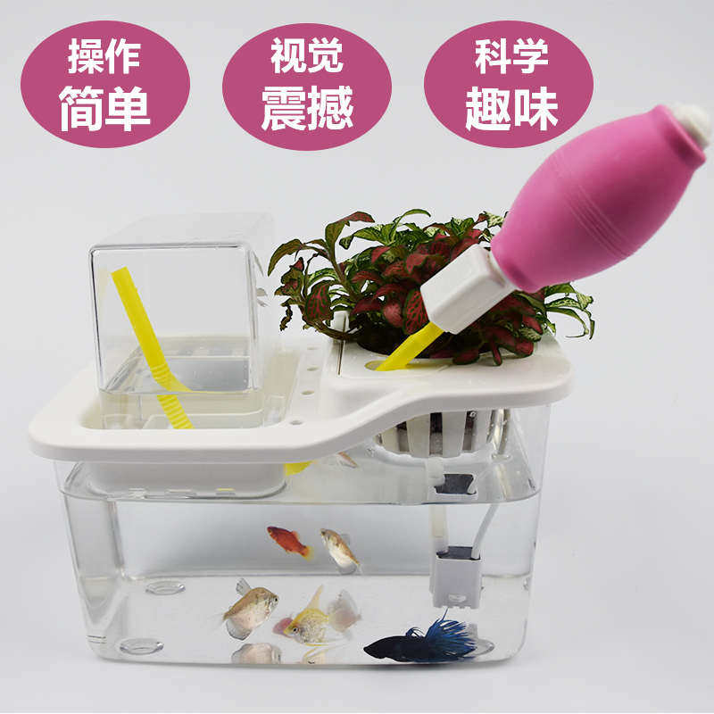 鱼缸套餐斗鱼小型装饰创意办公桌面懒人免换水生态鱼菜共生系统