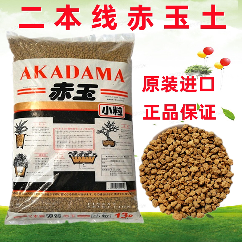 线宠大包土赤玉多二本专用玉硬质日本进口土爬铺面赤兰花肉盆景