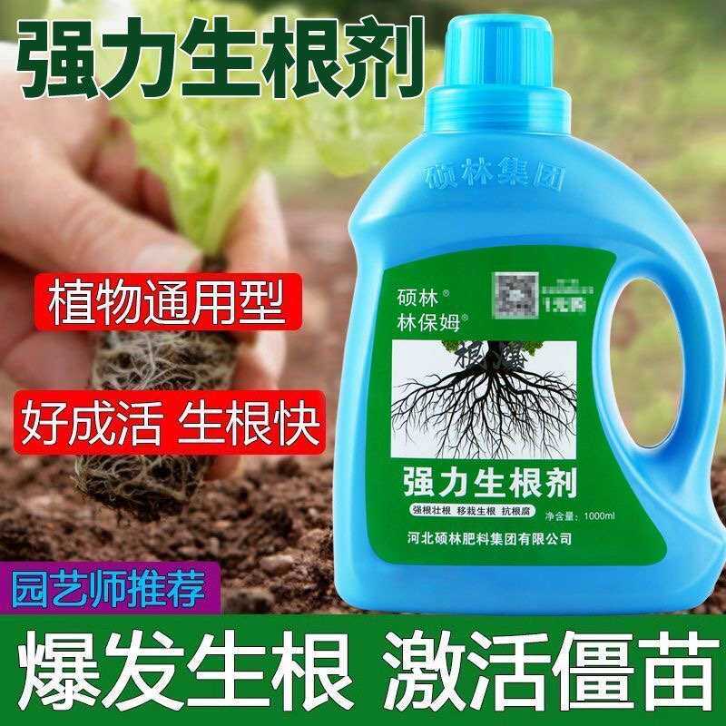 林保姆强力生根剂生根粉育苗扦插苗木保活快速生根水培壮苗根多