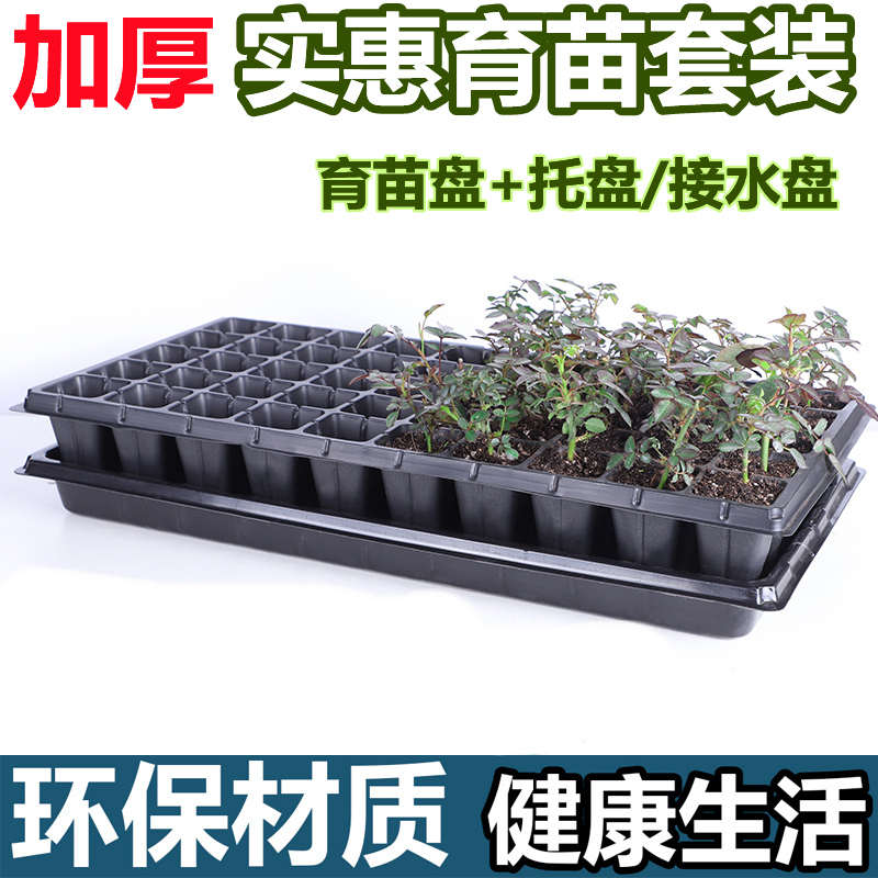 育苗盘穴盘塑料杯种植神器营养钵蔬菜多肉育种扦插盒农用托盘盆