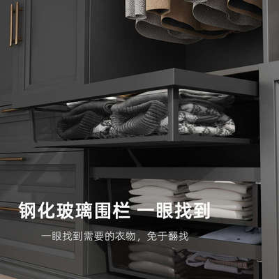 丽索衣柜拉篮衣帽间储分类柜篮拉篮收纳窄隔板改造物柜400-900柜