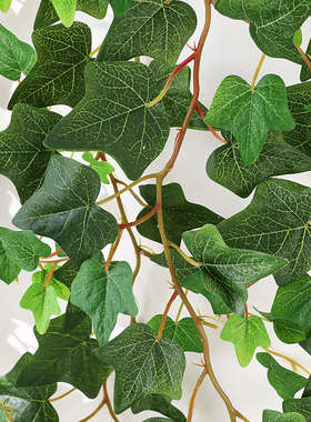仿真常春藤爬山虎假花藤条装饰管道缠绕遮挡绿色树叶藤条植物吊顶