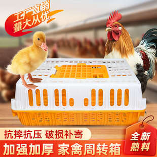 新疆包邮塑料家禽周转箱筐鸡笼运输笼鸡鸭成鹅家用兔养殖子鸽子笼