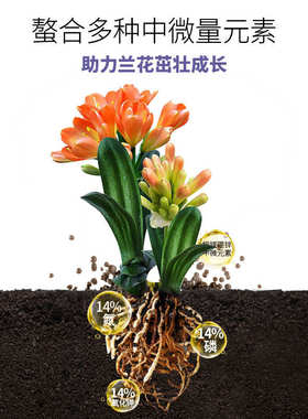 花肥谷君子兰专用控释肥上剑促开花壮根壮苗魔肥颗粒有机缓释肥料