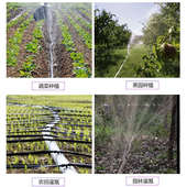 农用喷水微喷带滴灌管雾化灌溉微喷喷灌滴灌设备自动浇水神器水管