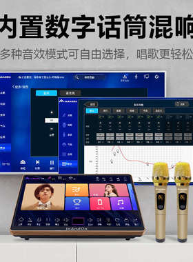 2024款InAndOn音王点歌机D90家庭KTV触摸话筒家用卡拉OK歌一体机