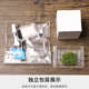 苔藓生态瓶闷养微景观 桌面直筒创意微缩苔藓摆件盆景懒人好养DIY
