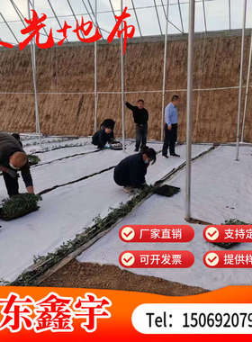 2米宽PE白色反光防草布园艺地布全新料增光补光温室大棚除草布