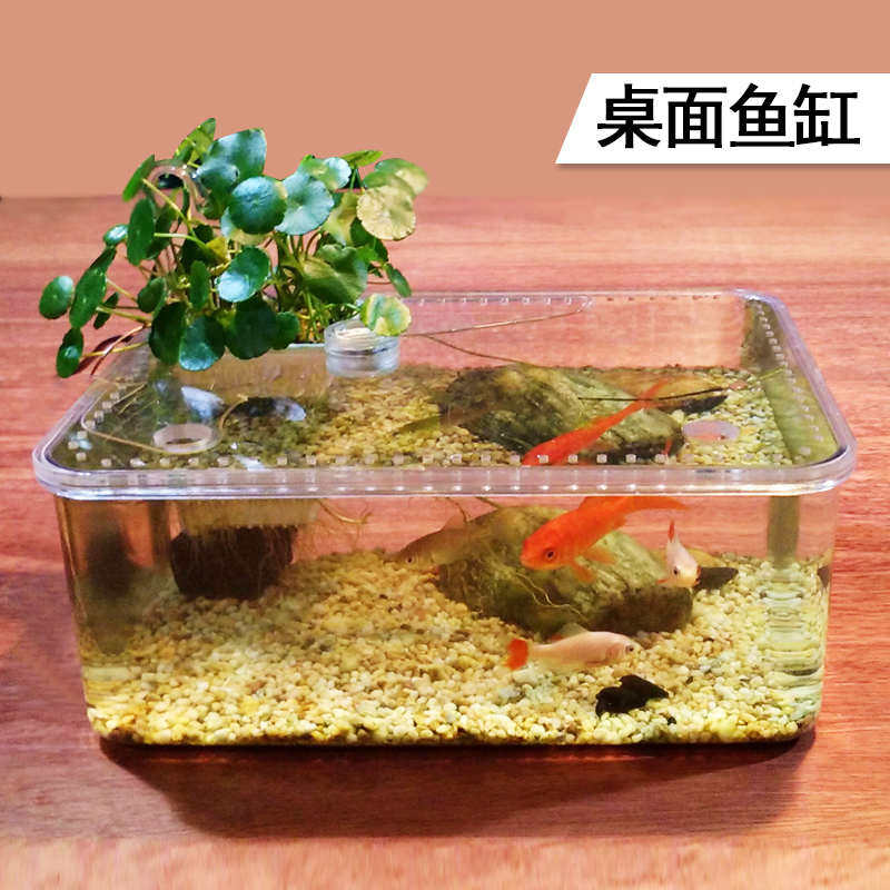 乌龟缸水陆带晒台塑料盆小型桌面鱼缸免换水亚克力爬虫饲养盒透明,宠物/宠物食品及用品,桌面缸,淘宝优惠券,粉丝福利购,淘宝优惠卷