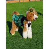 宠物猫狗蛋糕裙纸样吊带裙子夏季 猫咪泰迪比熊博美法斗衣服图纸样