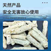 天然纯净珊瑚骨海水鱼缸过滤材料珊瑚缸钙反耗材底砂珊瑚沙珊瑚石