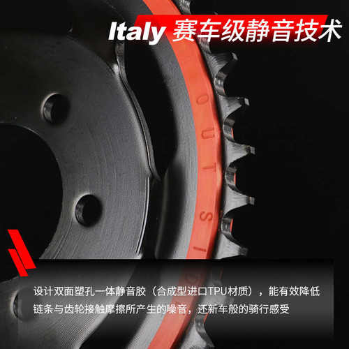 适用贝纳利小黄龙BJ250幼狮油封TNT25盘和牙链条链轮静音250征