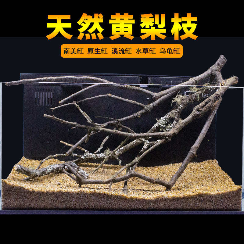 鹿角枝沉木枝条鱼缸造景树根枯木天然南美缸装饰树枝插花黄梨枝