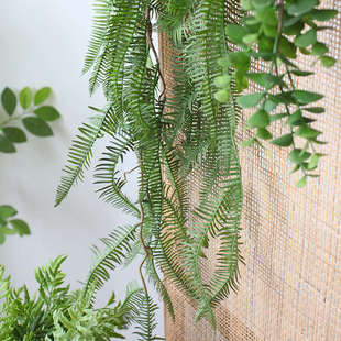 仿真绿植藤条挂藤金钱叶垂挂蔓藤吊顶葡萄架装饰婚庆花藤管道遮挡