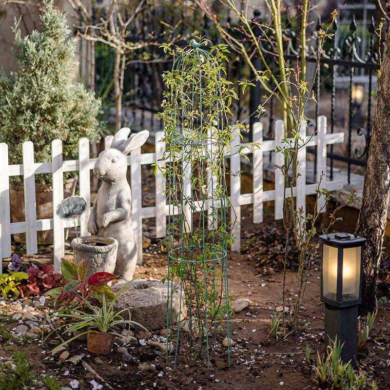 铁线莲爬藤架花架支架铁艺花柱月季植物攀爬架支撑杆牵引花架园艺,鲜花速递/花卉仿真/绿植园艺,花架,淘宝优惠券,粉丝福利购,淘宝优惠卷