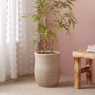 特大号陶瓷花盆组合盆酒店摆件高款30cm以上大口径40高深家用客厅