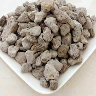 轻石颗粒浮石垫底石水族造景鱼缸营养土多肉植物专用土兰花植料土