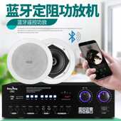 定阻功放扩音机重低音专业家用KTV舞台音响套装 大功率AV小功放机