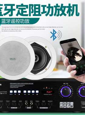 定阻功放扩音机重低音专业家用KTV舞台音响套装大功率AV小功放机